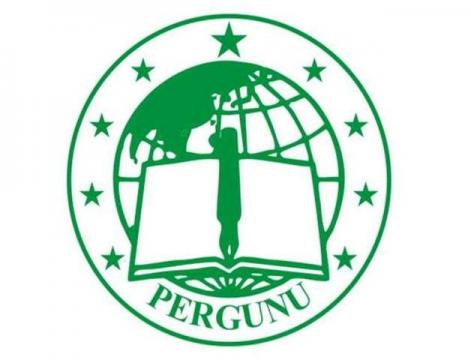 logo pergunu